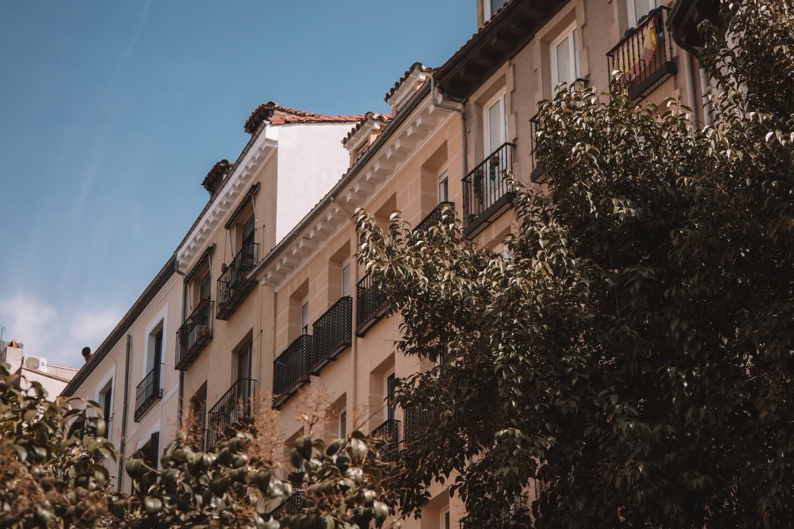 Edificios de viviendas de fachada clara con balcones de forja y buhardillas, vistos en contrapicado entre las copas de los árboles