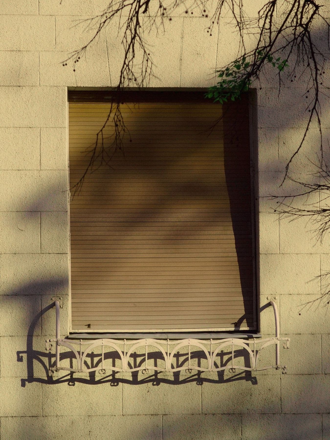 Persiana enrollable marrón bajada en una ventana de fachada clara, con sombras de ramas sobre la pared y una reja de forja baja